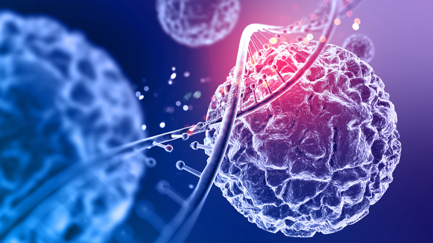 Cadenas de ADN y células