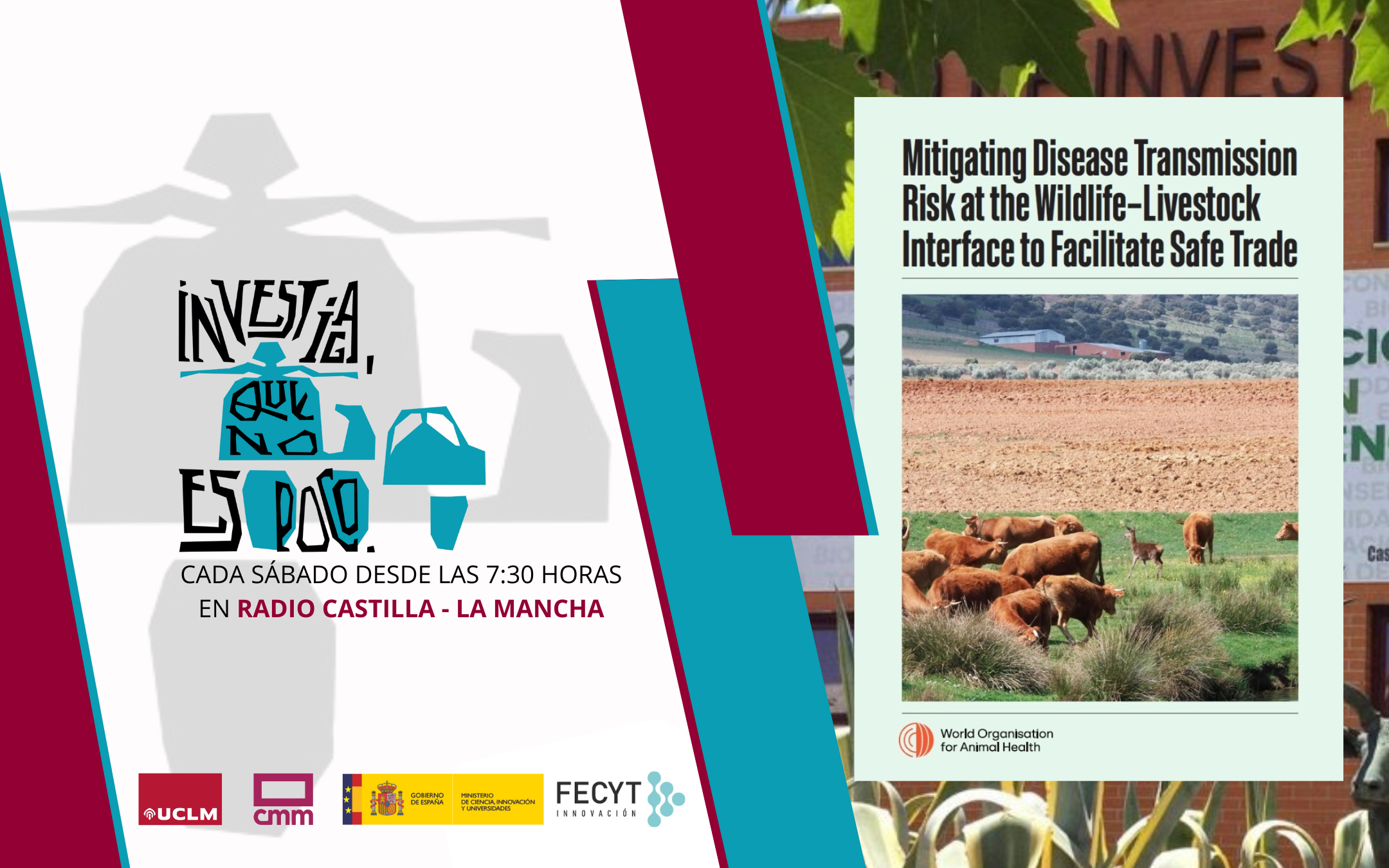 Guía para mitigar los riesgos de transmisiones de enfermedades de la fauna salvaje, en Investiga, que no es poco.