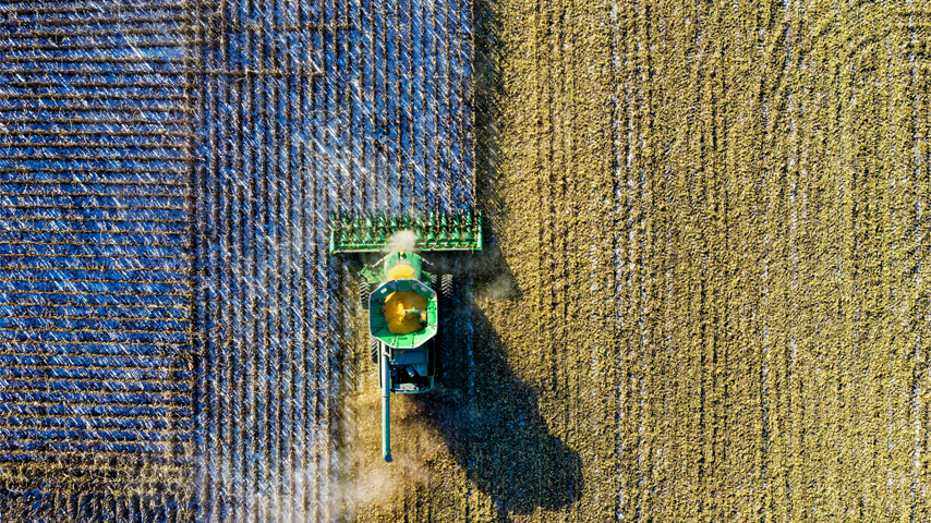 Residuos agrícolas como solución verde: cáscaras de pistacho, almendra y nuez para capturar CO₂