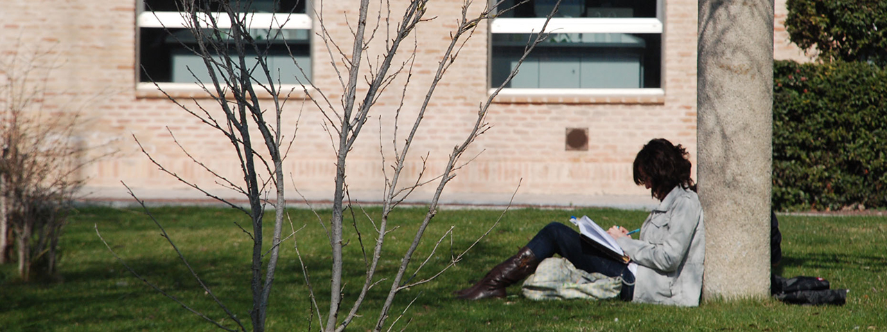 Estudiante repasando apuntes sentado en el suelo y apoyado a un árbol