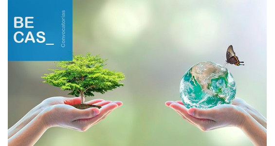Fundacin Biodiversidad