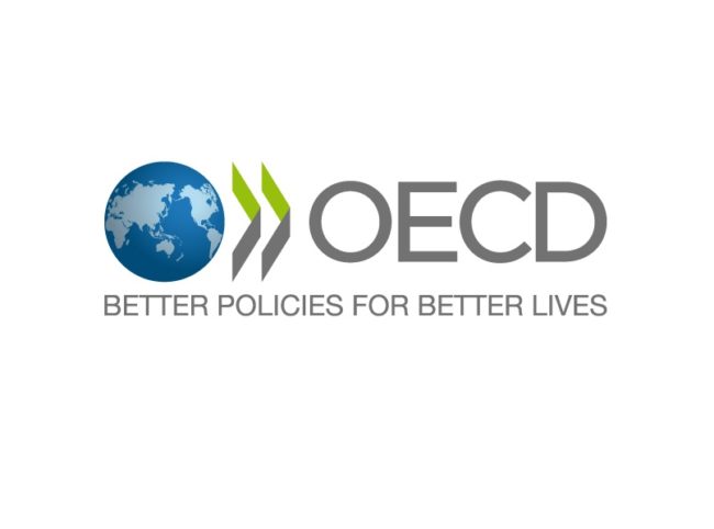Programa de prácticas de la OCDE 2024