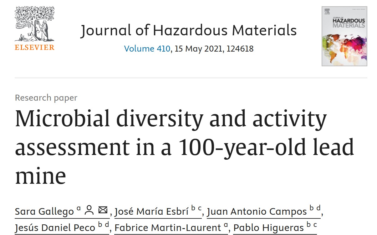 Evaluación de la diversidad y actividad microbiana en una mina de plomo de 100 años de antigüedad