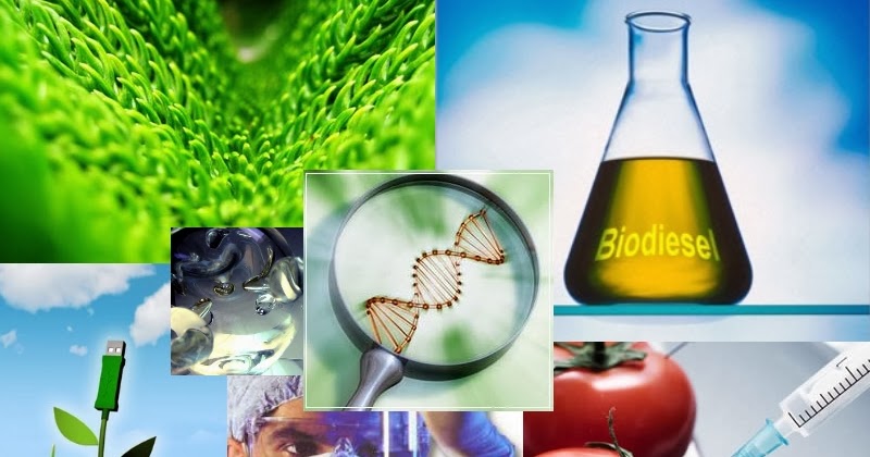 DOBLE TITULO GRADO EN INGENIERÍA AGRÍCOLA Y AGROALIMENTARIA Y GRADO EN BIOTECNOLOGÍA