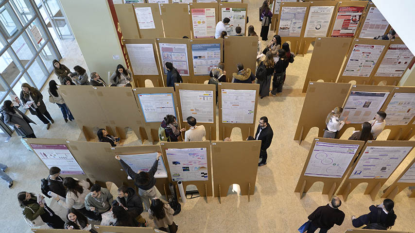 XIII Jornadas Doctorales de la UCLM.