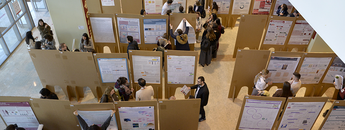 Celebración de las jornadas doctorales