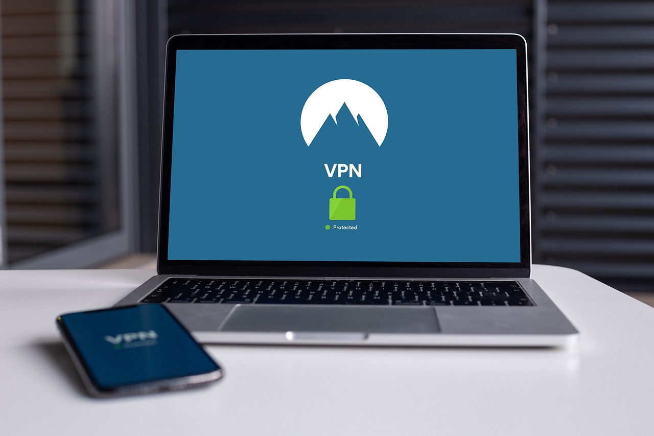 113 VPN